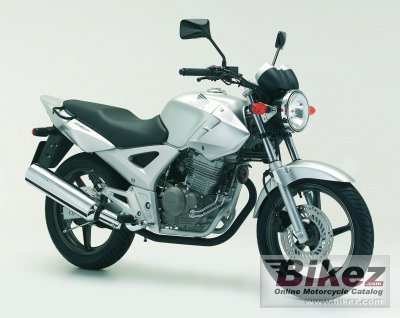 2007 Honda CBF250 photo